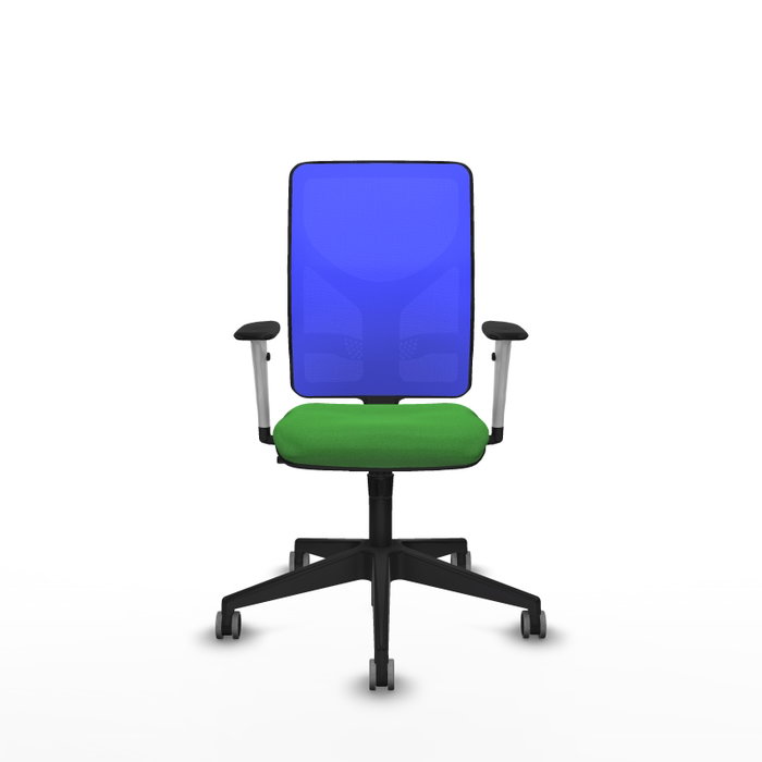 PIQUERAS Y CRESPO Silla de oficina Motilla con mecanismo Sincro, Tela Verde y Malla Azul PIQUERAS Y CRESPO Silla de oficina Motilla con mecanismo Sincro, Tela Verde y Malla Azul