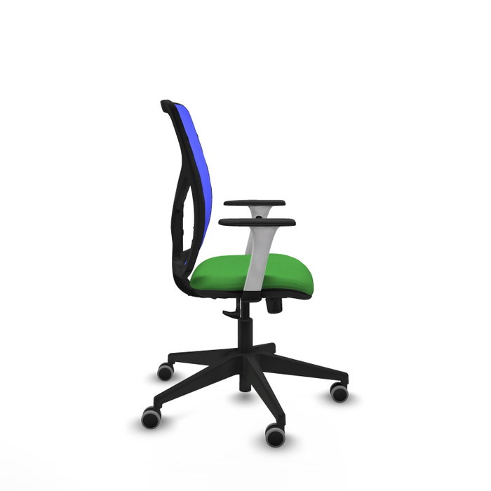 PIQUERAS Y CRESPO Silla de oficina Motilla con mecanismo Sincro, Tela Verde y Malla Azul PIQUERAS Y CRESPO Silla de oficina Motilla con mecanismo Sincro, Tela Verde y Malla Azul