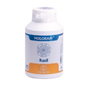 EQUISALUD HOLORAM radi 180cap.