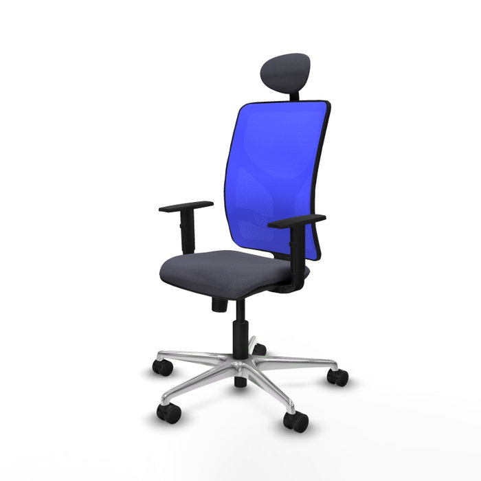 PIQUERAS Y CRESPO Silla de oficina Motilla con mecanismo Sincro, Gris oscuro y Azul PIQUERAS Y CRESPO Silla de oficina Motilla con mecanismo Sincro, Gris oscuro y Azul