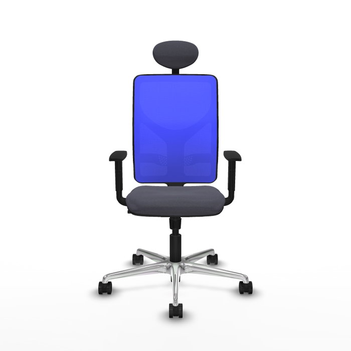 PIQUERAS Y CRESPO Silla de oficina Motilla con mecanismo Sincro, Gris oscuro y Azul PIQUERAS Y CRESPO Silla de oficina Motilla con mecanismo Sincro, Gris oscuro y Azul