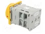 SPAMEL Interruptor de leva 40A 0-1 IP65