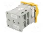 SPAMEL Interruptor de leva 40A 0-1 IP65