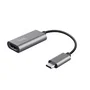 Trust Dalyx Adaptador USB-C a HDMI Gris