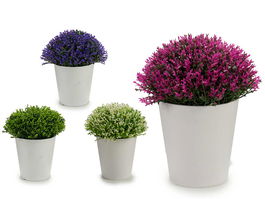 Ibergarden Maceta Blanca Ptos Flor Mini Surtido 14x16x14 cm, Plástico, Varios Colores (Set de 24)