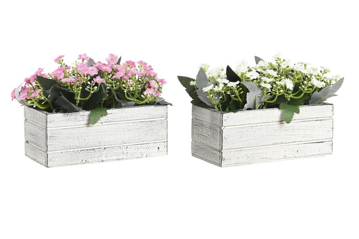 DKD Home Decor Planta de PE y Madera 24x16x16,5 cm Surtida DKD Home Decor Planta de PE y Madera 24x16x16,5 cm Surtida