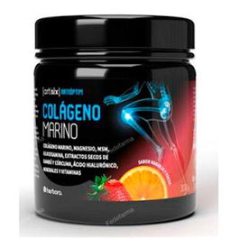 Artisix Colágeno Marino Hidrolizado con MSM, Glucosamina y Vitaminas para el Bienestar Articular 300 Gr