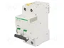SCHNEIDER ELECTRIC Interruptor magnetotérmico iC60N 25A 2 polos Caract D