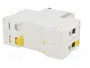 SCHNEIDER ELECTRIC Interruptor magnetotérmico iC60N 25A 2 polos Caract D