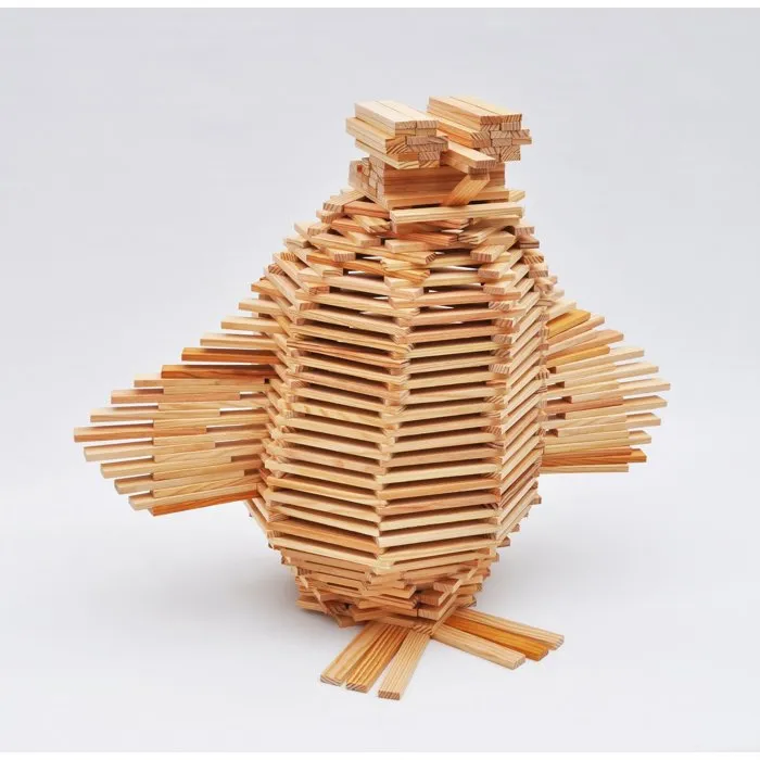 Mecabois Libro MECABOIS: Los fundamentos de la construcción - Modelos de construcción con tablones de madera - Hecho en Francia