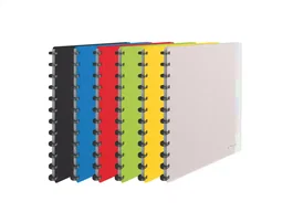 Esselte VIVIDA Carpeta Escaparate DIN A4, Tapa Rígida, 25 Fundas Extraíbles de Polipropileno, Colores Surtidos