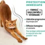 Vetocanis 4 Pipetas Antipulgas y Anti-garrapatas para Gato - 1 Mes de Protección x 4 Unidades