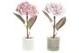 DKD Home Decor Planta Shabby Rosa Blanco Cristal y Pe 18 x 31 x 18 cm (6 Unidades)