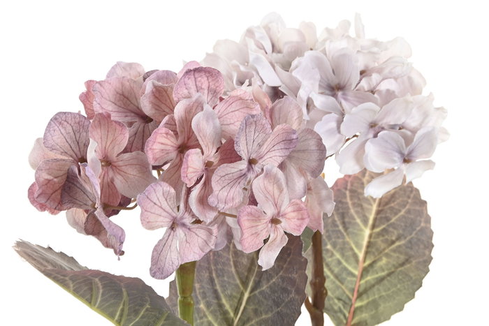 DKD Home Decor Planta Shabby Rosa Blanco Cristal y Pe 18 x 31 x 18 cm (6 Unidades)