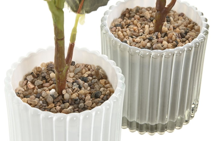 DKD Home Decor Planta Shabby Rosa Blanco Cristal y Pe 18 x 31 x 18 cm (6 Unidades)