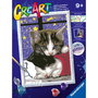 Ravensburger Creart Serie D Classic Pintura por Números con Gatitos 23707 - Actividad Creativa para Niños +9 Años
