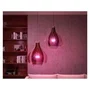Philips Hue 8719514291812 Bombilla LED Conectada Blanca Lote 2 E27 Mando a Distancia 10.5W