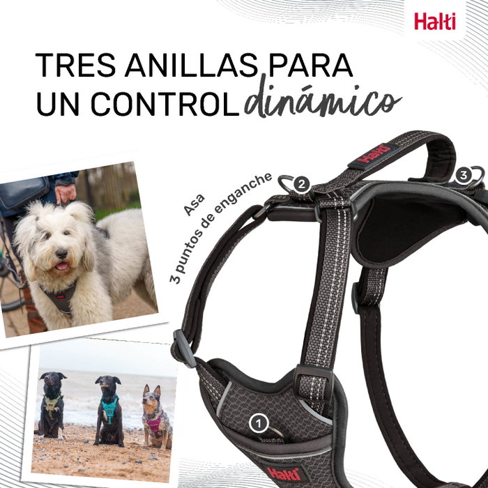Halti Anatomy Arnés Gris M Cuerpo 48-68 cm (Set de 48)