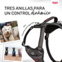Halti Anatomy Arnés Gris M Cuerpo 48-68 cm (Set de 48)