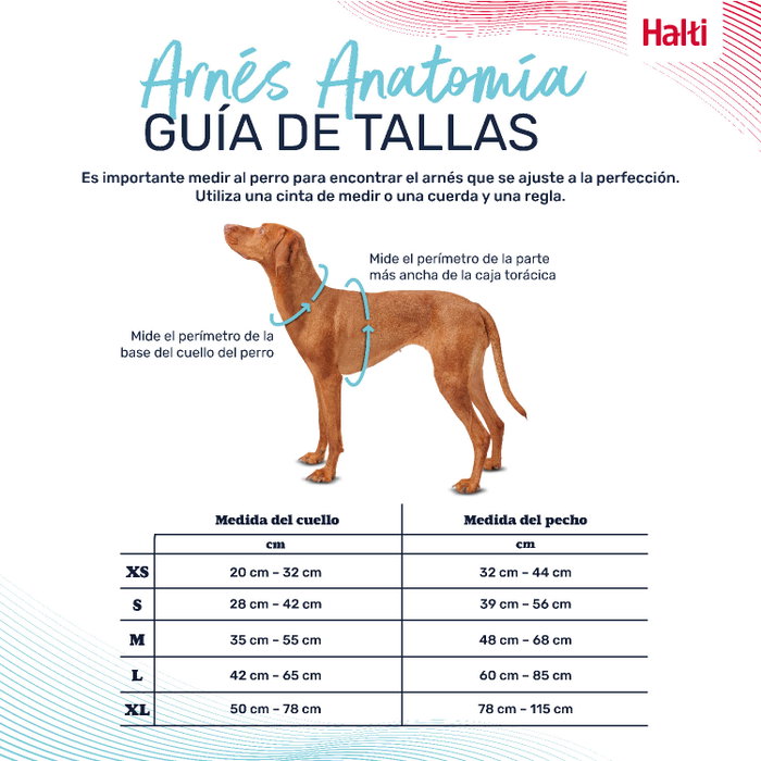 Halti Anatomy Arnés Gris M Cuerpo 48-68 cm (Set de 48)