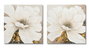 DKD Home Decor Cuadro Lienzo MDF 80x80 Flor Surtido de 2 Piezas
