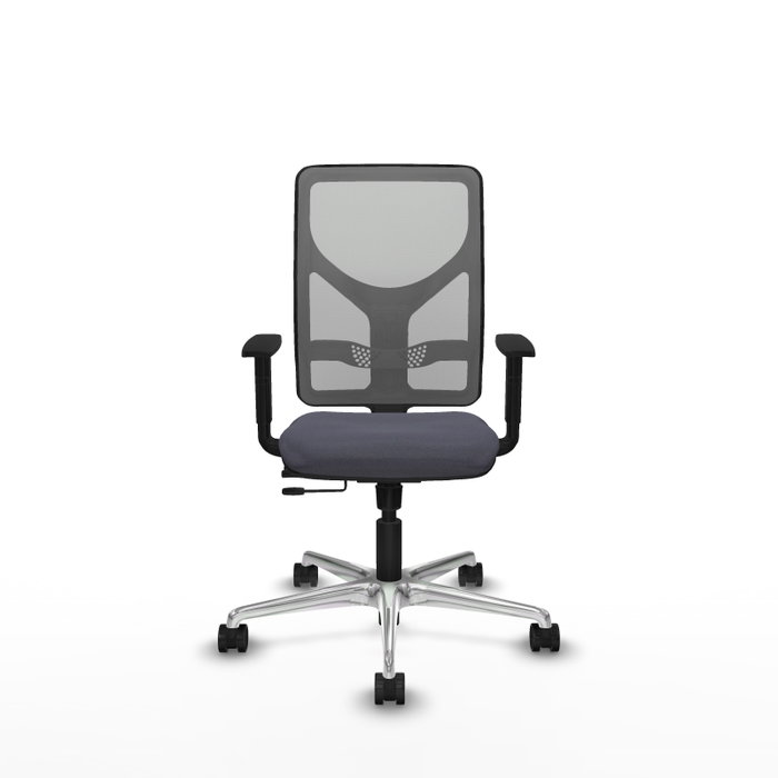 PIQUERAS Y CRESPO Silla de oficina Motilla con mecanismo Sincro/Traslack, Gris PIQUERAS Y CRESPO Silla de oficina Motilla con mecanismo Sincro/Traslack, Gris