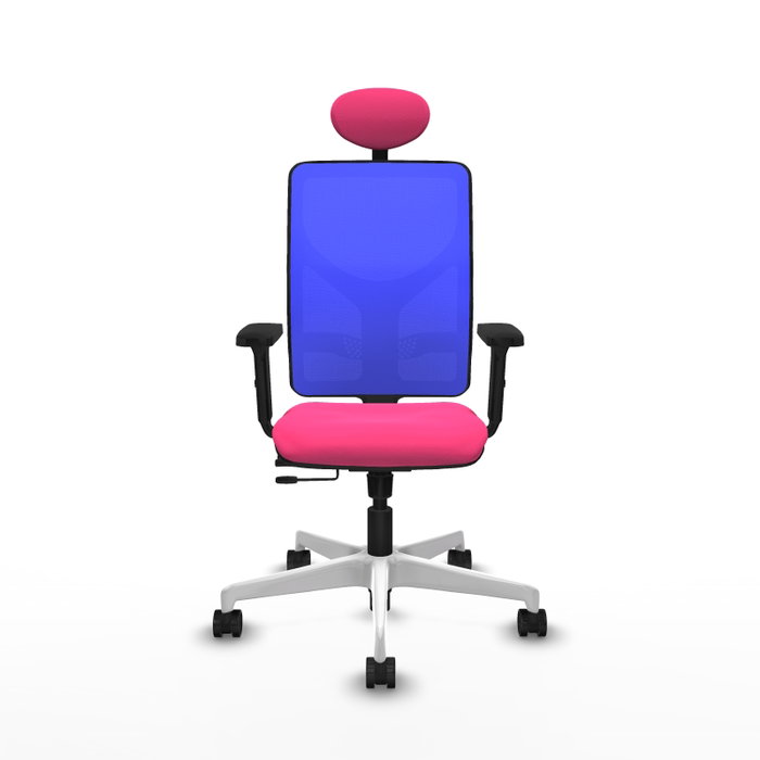 PIQUERAS Y CRESPO Silla de oficina Motilla con mecanismo Sincro/Traslack, Rosa y Azul PIQUERAS Y CRESPO Silla de oficina Motilla con mecanismo Sincro/Traslack, Rosa y Azul