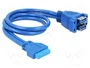 DeLOCK 82942 Cable USB de 0,45 m con cabezal de 19 pines a 2 conectores USB 3.0 hembra