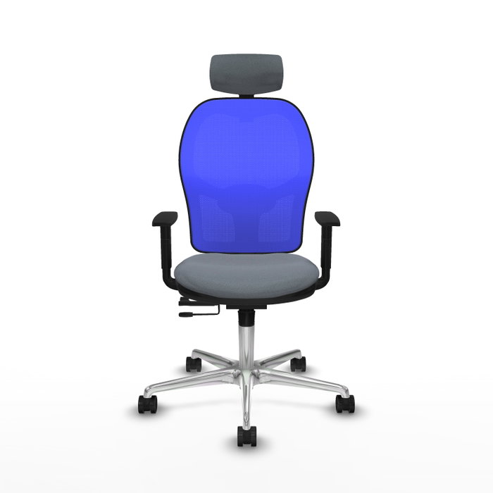 PIQUERAS Y CRESPO Silla de oficina Jorquera con mecanismo Sincro/Traslack, Gris y Azul PIQUERAS Y CRESPO Silla de oficina Jorquera con mecanismo Sincro/Traslack, Gris y Azul