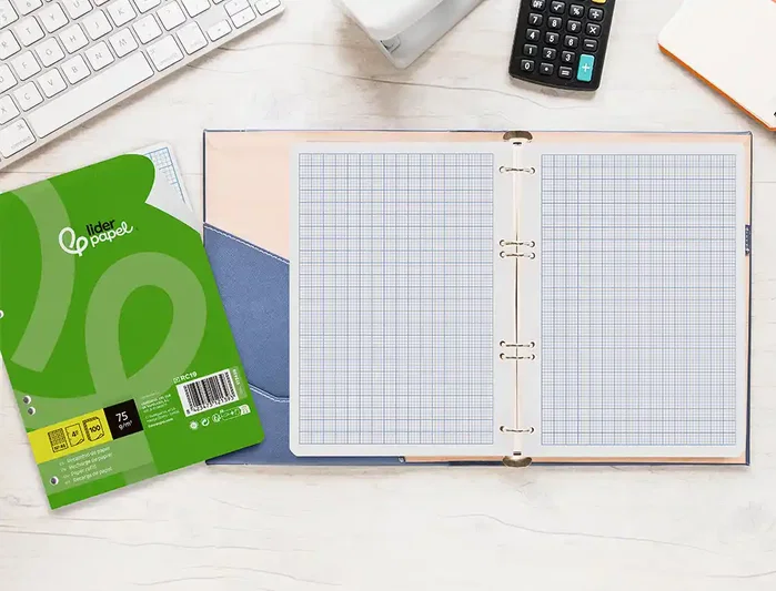 Liderpapel Recambio Din A5 100 Hojas Rayado nº 46 6 Taladros Liderpapel Recambio Din A5 100 Hojas Rayado nº 46 6 Taladros