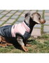 Nayeco Chaqueta Montecarlo Rosa para Perro 50 cm