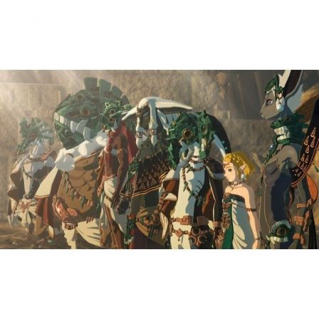 Nintendo Juego Hyrule Warriors: La Era del Destierro para Nintendo Switch 2 HYRULE W ERA DST