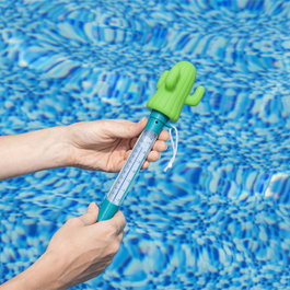 Bestway Termómetro Cactus Flotante para Piscina y Bañera