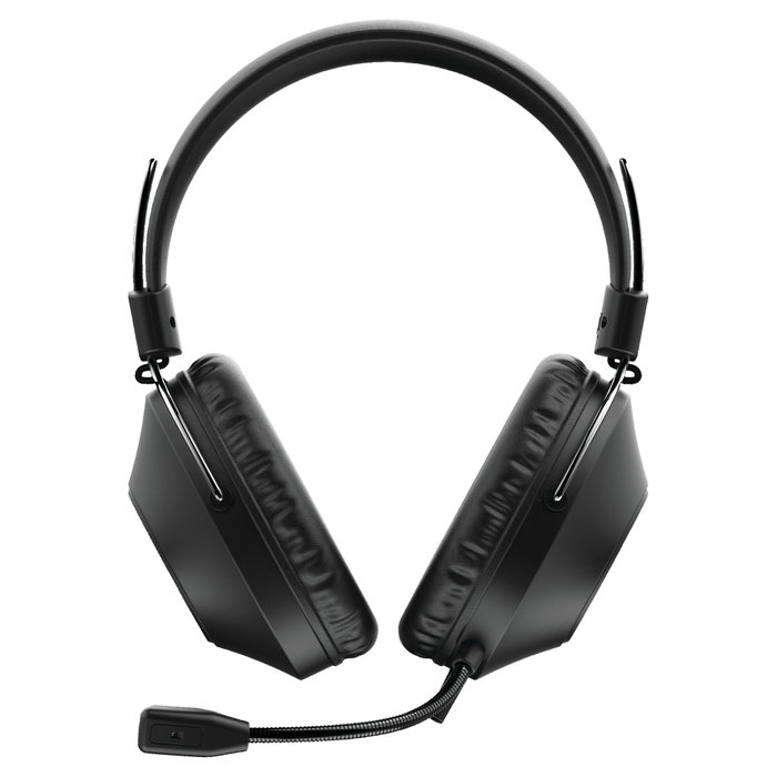 Trust Auriculares Diadema USB HS-250 Over-Ear Circumaural para Llamadas y Música, Negro, 20-20000 Hz, 108 dB, Boom Micrófono Extraíble