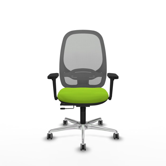 PIQUERAS Y CRESPO Silla de oficina Cilanco con mecanismo Sincro/Traslack, Pistacho y Gris