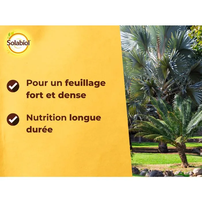 Solabiol SOPALMY15 Fertilizante Palmeras y Plantas Mediterráneas - 1,5 Kg Solabiol SOPALMY15 Fertilizante Palmeras y Plantas Mediterráneas - 1,5 Kg