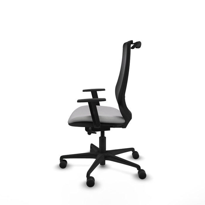 PIQUERAS Y CRESPO Silla de oficina Mardos con mecanismo Sincro/Traslack, Gris claro y Negro PIQUERAS Y CRESPO Silla de oficina Mardos con mecanismo Sincro/Traslack, Gris claro y Negro