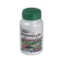 NATURES PLUS BOSWELLIN 300mg 60 cápsulas