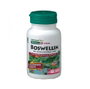 NATURES PLUS BOSWELLIN 300mg 60 cápsulas