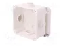 ELEKTRO-PLAST NASIELSK EP-LUX Caja de conexiones blanca IP55