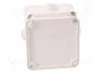 ELEKTRO-PLAST NASIELSK EP-LUX Caja de conexiones blanca IP55