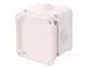 ELEKTRO-PLAST NASIELSK EP-LUX Caja de conexiones blanca IP55