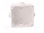 ELEKTRO-PLAST NASIELSK EP-LUX Caja de conexiones blanca IP55
