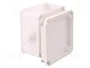 ELEKTRO-PLAST NASIELSK EP-LUX Caja de conexiones blanca IP55