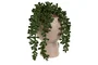 DKD Home Decor Planta Resina PE Surtido de 3