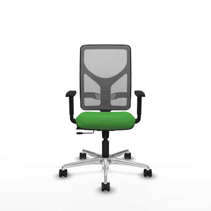 PIQUERAS Y CRESPO Silla de oficina Motilla con mecanismo Sincro/Traslack, Verde y Gris PIQUERAS Y CRESPO Silla de oficina Motilla con mecanismo Sincro/Traslack, Verde y Gris