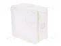 ELEKTRO-PLAST NASIELSK Caja de conexiones 2K Blanca IP55