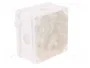 ELEKTRO-PLAST NASIELSK Caja de conexiones 2K Blanca IP55