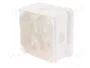ELEKTRO-PLAST NASIELSK Caja de conexiones 2K Blanca IP55