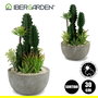 Ibergarden Centro Cactus Redondo Surtido 2 15 cm x 29 cm x 15 cm (Set de 6)